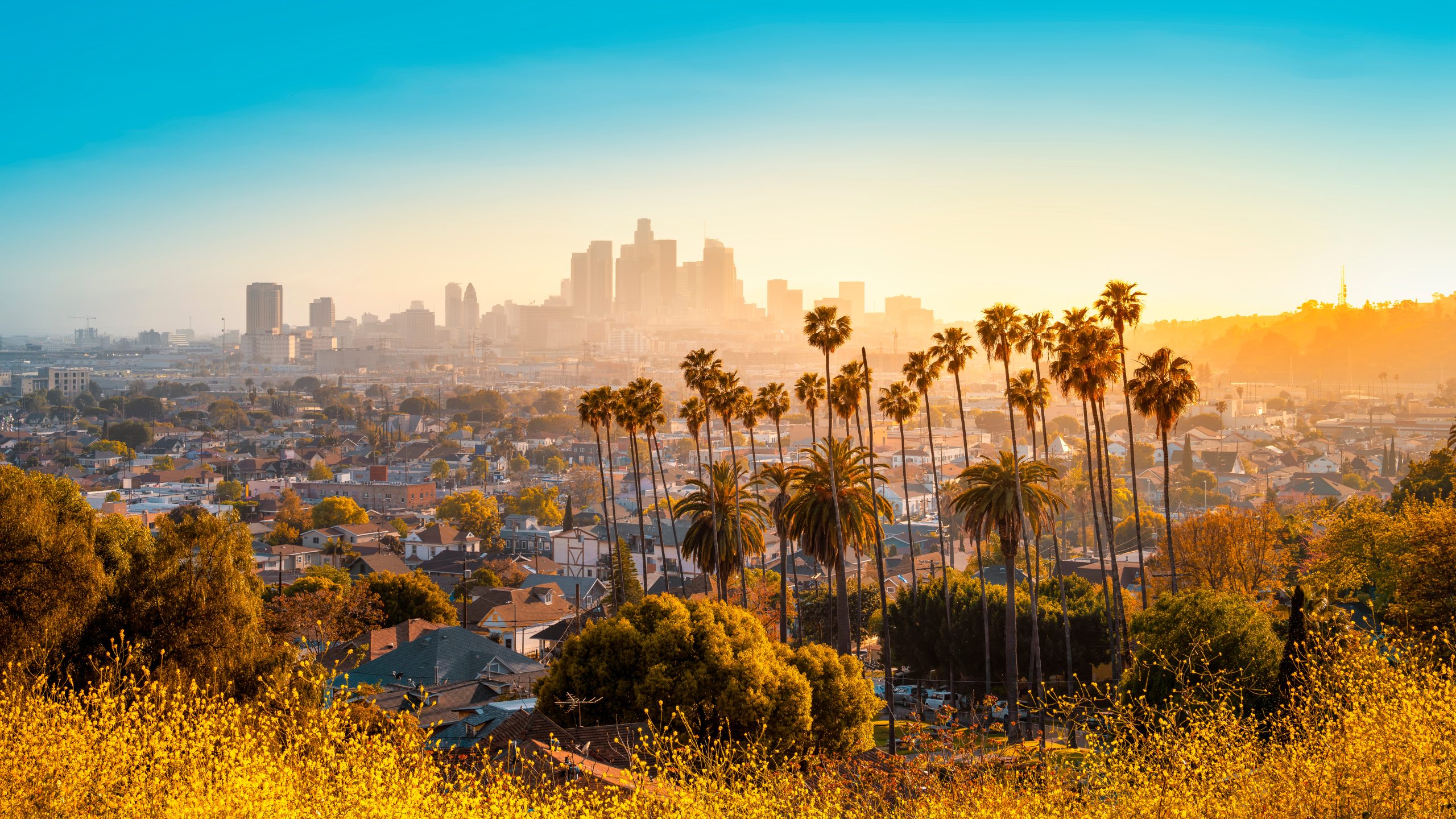 the skyline of los angeles during sunset